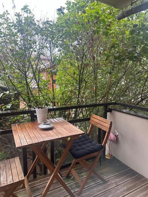 Jardin Des Plantes Parking Securise Terrasse Et Ascenseur Διαμέρισμα Τουλούζη Εξωτερικό φωτογραφία