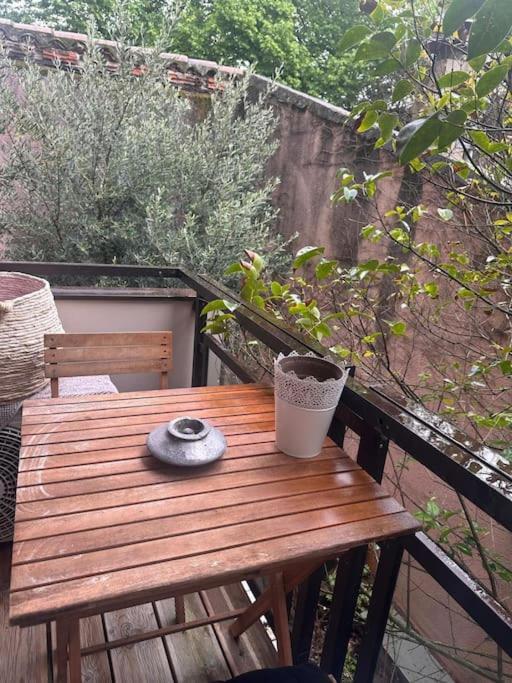Jardin Des Plantes Parking Securise Terrasse Et Ascenseur Διαμέρισμα Τουλούζη Εξωτερικό φωτογραφία